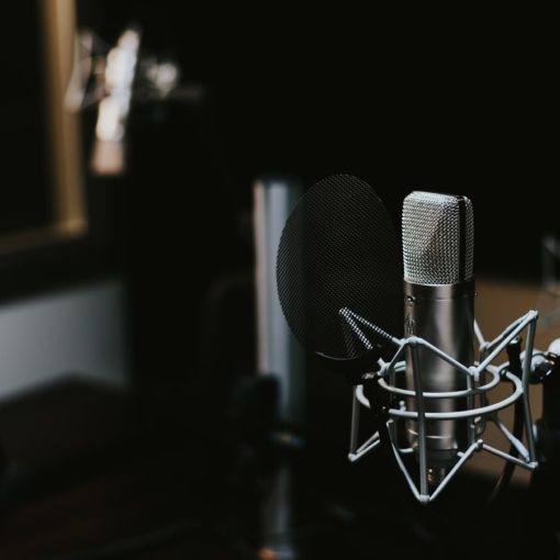 Microphone and headphones
