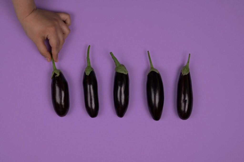 person holding an eggplant