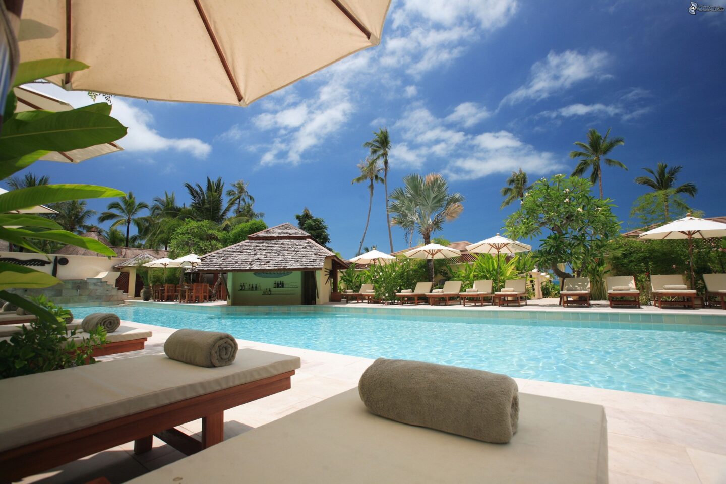Adult Resort Expectations for Sex