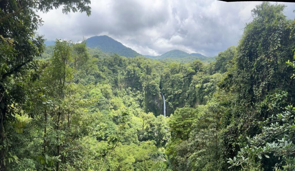 jungle of costa rica, waterfall in background