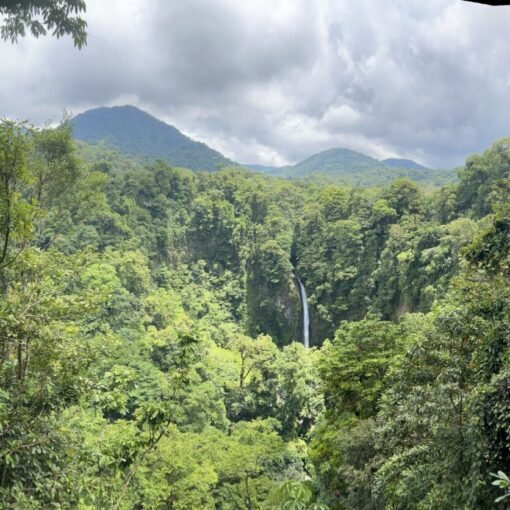 jungle of costa rica, waterfall in background