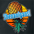 Shenanigans-2